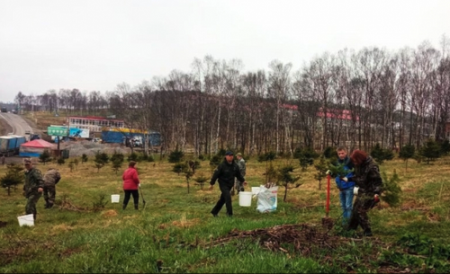 Более 6 тысяч деревьев высадили в Хабаровском крае на акции «Сад памяти»