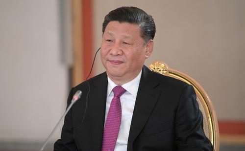 Си Цзиньпин поддержал стремление стран Африки помочь мирному урегулированию конфликта на Украине