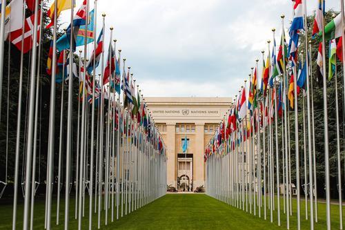 Совет безопасности ООН планирует провести заседание по Украине 23 июня