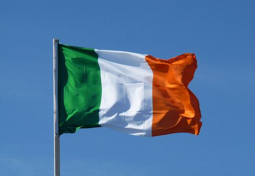В Ирландии идёт расследование по поводу 796 захороненных детей 