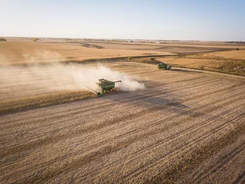 В южных регионах РФ собрали полтора миллиона тонн зерна