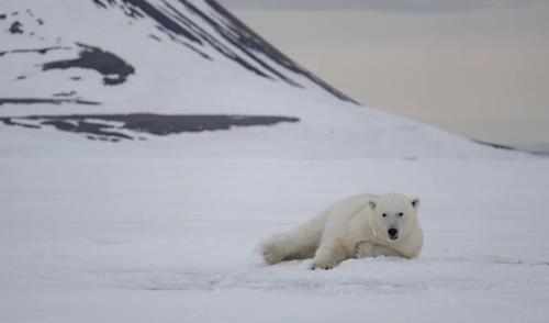 «ЦентроКредит» поддержал Арктику с воздуха