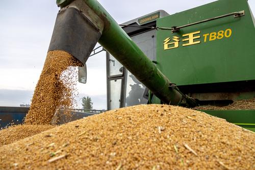 Зеленский заявил, что Евросоюз пообещал снять запрет на ввоз украинского зерна