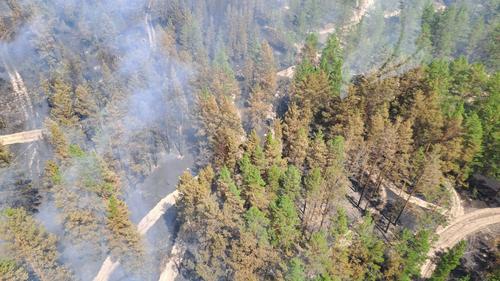 Лесные пожара в Хабаровском крае распространились на 15,3 тысяч га