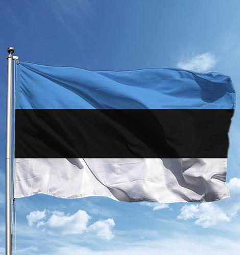 Чего добивается Эстония?