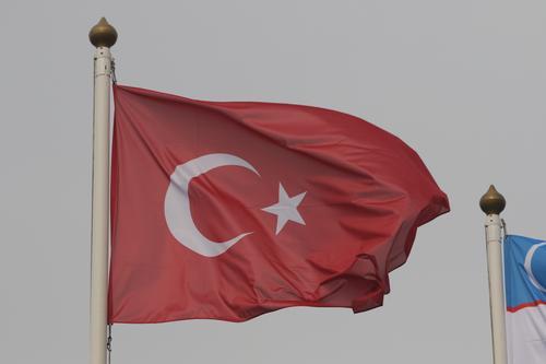 CNN: Турция может ратифицировать заявку Швеции на членство в НАТО до конца следующей недели 