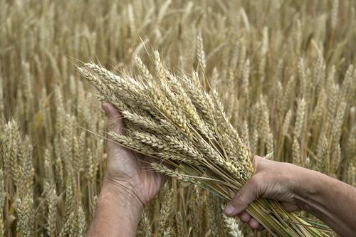 Дипломатический источник ТАСС в Турции: решение о продлении сделки по вывозу зерна с Украины будет принято в последний момент