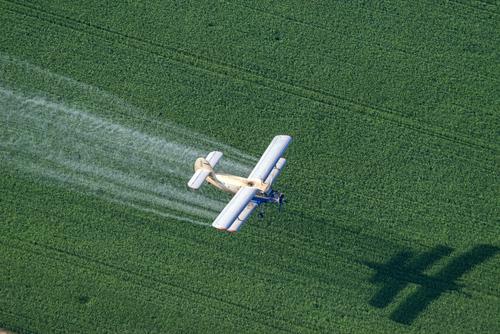 Депутаты Европарламента осуждают компании, производящие пестициды, за сокрытие данных о токсичности