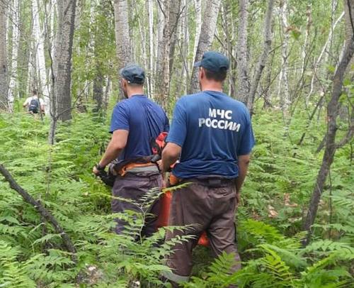 В Хабаровском крае спасатели нашли заблудившегося в лесу пенсионера