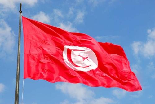 Президент Туниса Саид призвал развитые страны бороться с голодом в Африке вместо торговли оружием