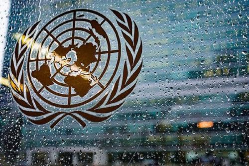 Полянский: Россия отказалась от выступления на заседании Совбеза ООН по зерновой сделке после недопуска своего докладчика