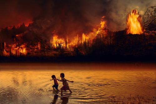 Средиземноморье охвачено лесными пожарами
