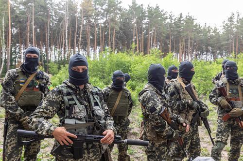 Губернатор Гладков: за минувшие сутки по территории Белгородской области ВСУ выпустили 15 снарядов 