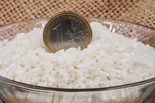 Правительство России запретило вывоз риса и рисовой муки до конца года