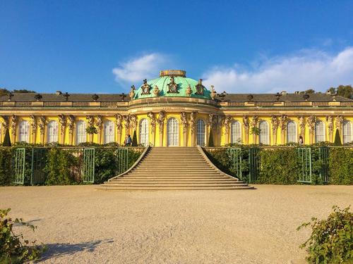 Засуха в Германии вынуждает пересмотреть посадки древних дворцовых парковых деревьев