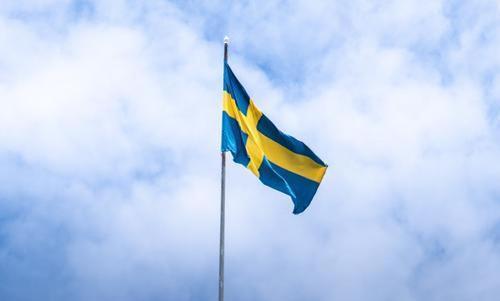 Швеция готова предоставить ВСУ военную помощь на сумму 313 миллионов долларов