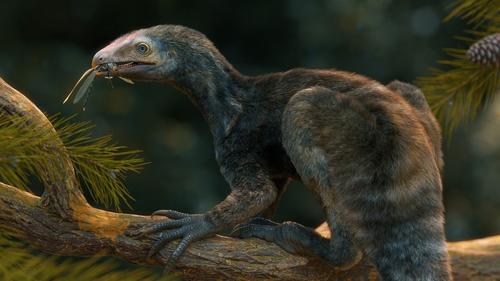 Существо «Эдвард Руки-ножницы», жившее 230 млн. лет назад, найдено в Бразилии