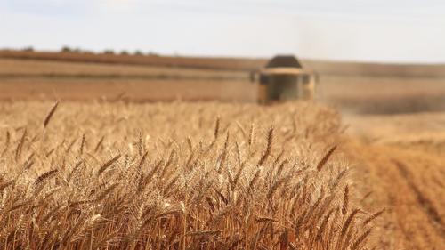 Путин: России намеренно чинят препятствия в вопросе поставок зерна и удобрений