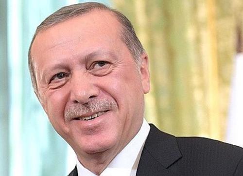 Эрдоган призвал к немедленному проведению переговоров России и Украины
