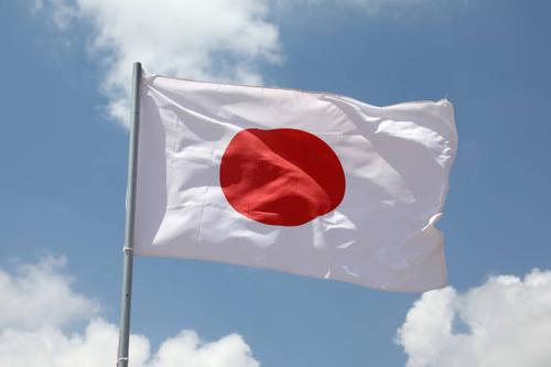 Япония попросила США усилить безопасность своих БПЛА из-за инцидента на базе