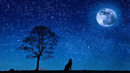 Голубую Луну и суперлуние можно будет увидеть с 30 на 31 августа 2023 года