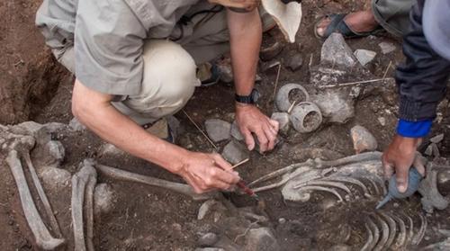 Археологи обнаружили гробницу шамана-ягуара, который жил 3000 лет назад