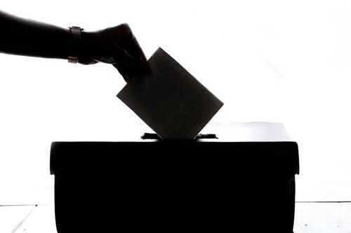 Явка на досрочных выборах в Херсонскую облдуму и местные советы составила 43,39%