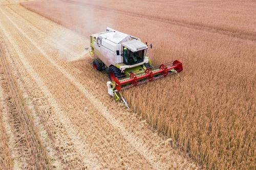 Reuters: Киев не ждет изменений в экспорте зерна после встречи Путина и Эрдогана
