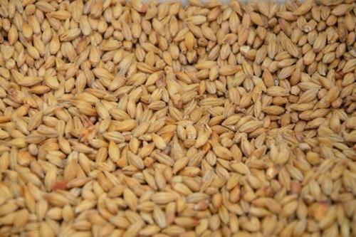 Sabah: российское зерно планируется вывезти в страны Африки сорока судами