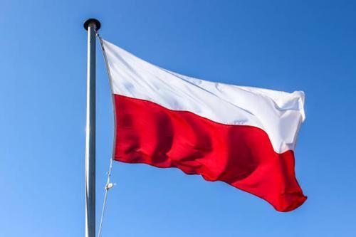 Польша запретила ввоз украинского зерна с 15 сентября