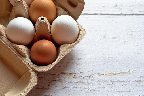 Комсомольская птицефабрика нарастила объемы производства куриного яйца