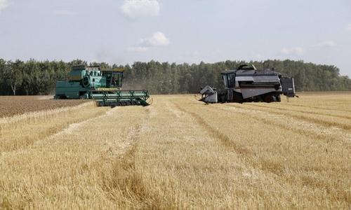 Уральские аграрии собрали 2,5 миллиона тонн зерна