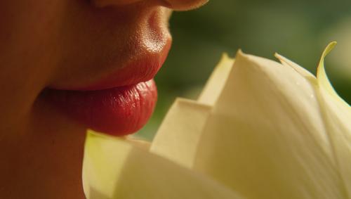 Психолог Алексеева рассказала, почему девушки любят накачивать губы
