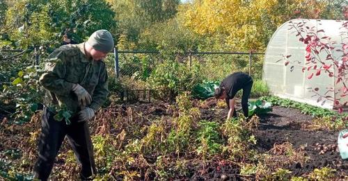 Студенты ЮУрГГПУ помогают семьям участников СВО