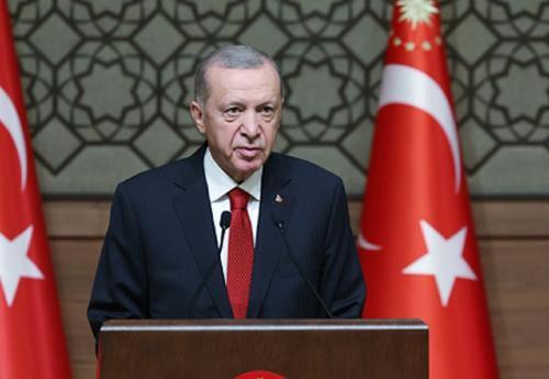 Эрдоган: Турция продолжает переговоры по возобновлению зерновой сделки
