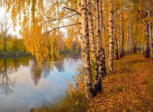 Бабье лето разгорается на Русской равнине