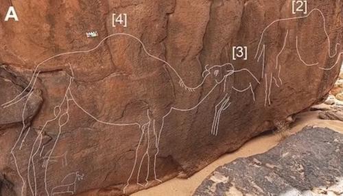 Загадочные фигурки верблюдов были найдены в пустыне Саудовской Аравии