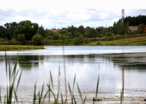 Воробьев: по программе «100 прудов и озер» в Подмосковье очистили более 160 водоемов