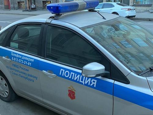 Полиция задержала участников этнической банды, нападавшей на петербуржцев