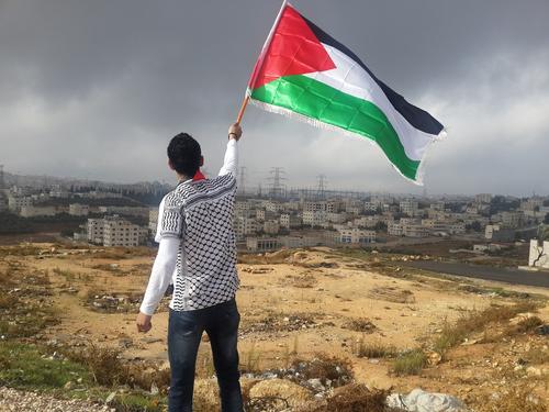 Постпред Палестины при ООН Мансур назвал конфликт с Израилем политическим
