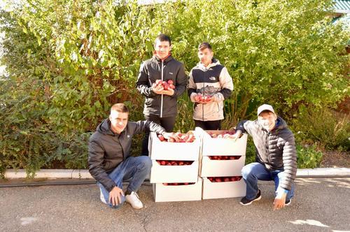 100 кг яблок: депутат ЗСК передал свежие фрукты в Новолеушковскую школу-интернат