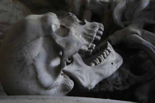 В Петербурге при демонтаже труб нашли череп и ребра