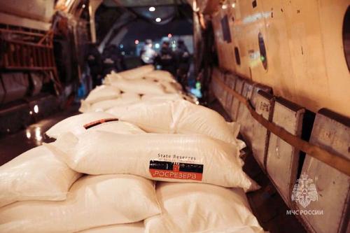 МЧС России доставит 27 тонн гуманитарной помощи для жителей сектора Газа 