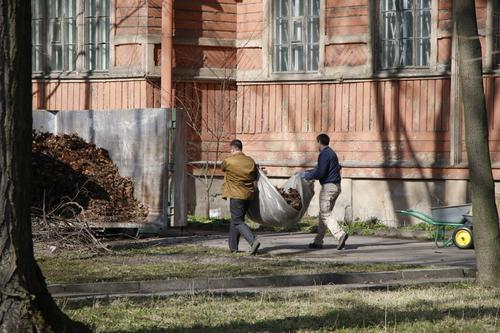 Общегородской субботник посетили 217 тысяч петербуржцев