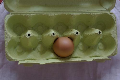 Ретейлеры Петербурга поднимают цены на куриные яйца