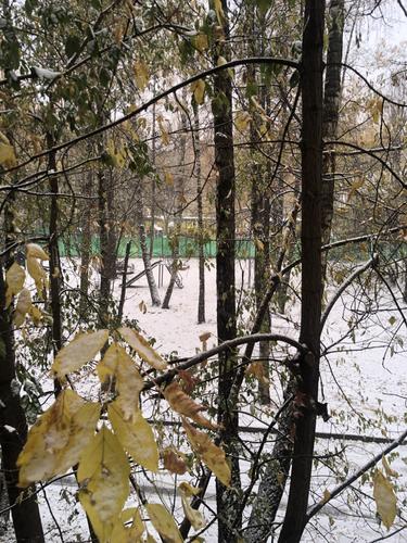 В Москве и области до утра субботы продлен «желтый» уровень погодной опасности