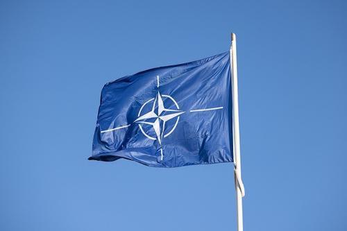 Глава директората НАТО Кокс: Украина сейчас не может стать членом альянса