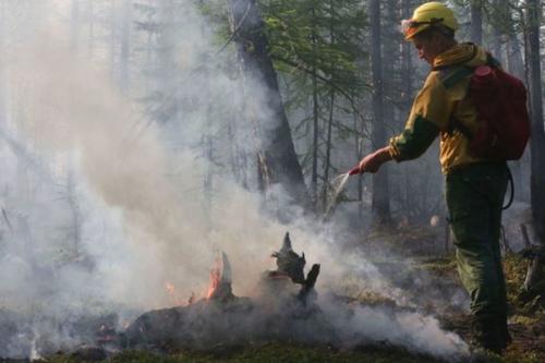 В Хабаровском крае тушат два лесных пожара
