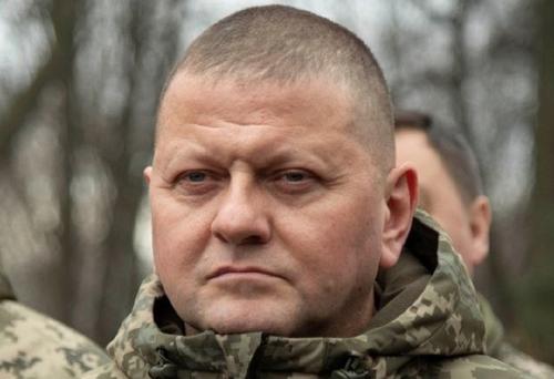 Украинский генерал Марченко заявил, что хочет выдвижения Залужного в президенты 