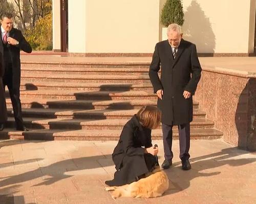 Собака Майи Санду укусила президента Австрии во время его визита в Кишинев